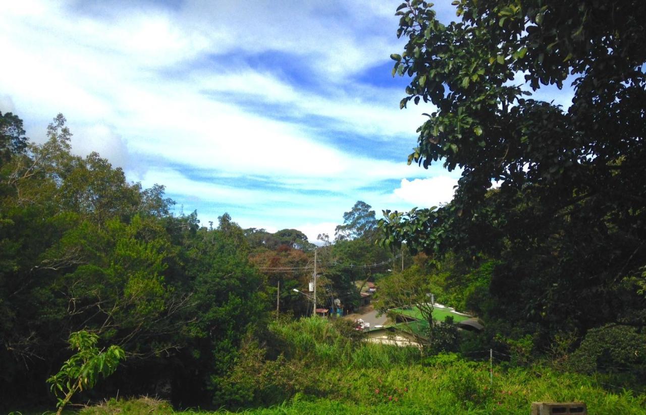 Fig Tree Haven Hotel Monteverde Exterior photo